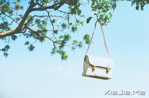晚安心语：学最好的别人，做最好的自己 (1)