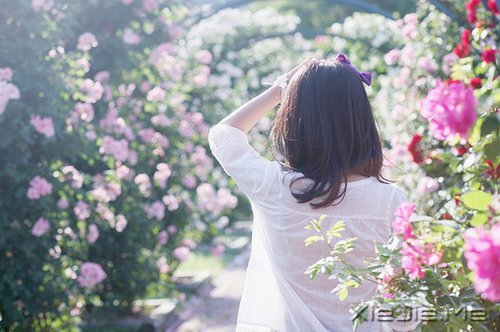 文字：席慕容文字选 (6)