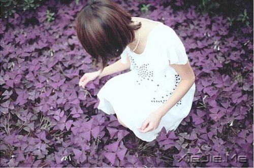 文字：席慕容文字选 (8)